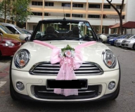 Cooper Mini